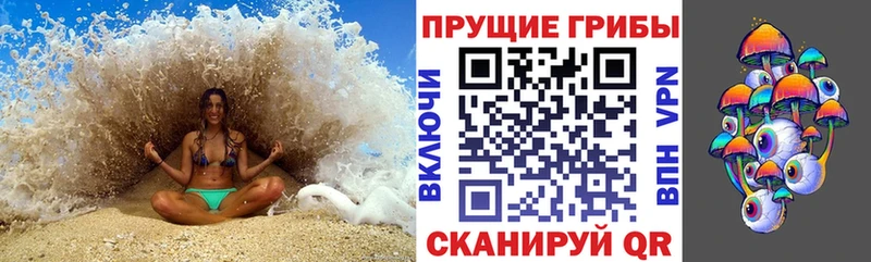 Купить закладки  Терек  Псилоцибиновые грибы Cubensis 